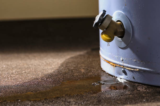Best 24-hour water damage restoration  in Tullytown, PA