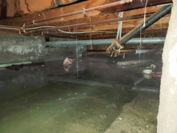 Best Commercial water damage restoration  in Tullytown, PA