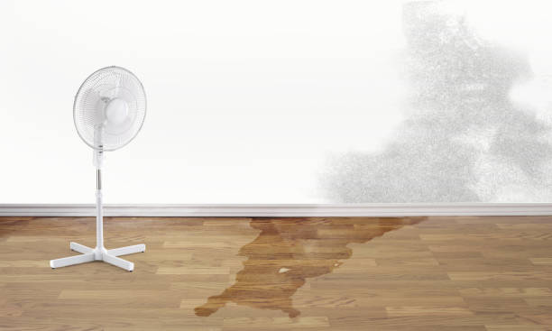 Best Water damage contractors near me  in Tullytown, PA